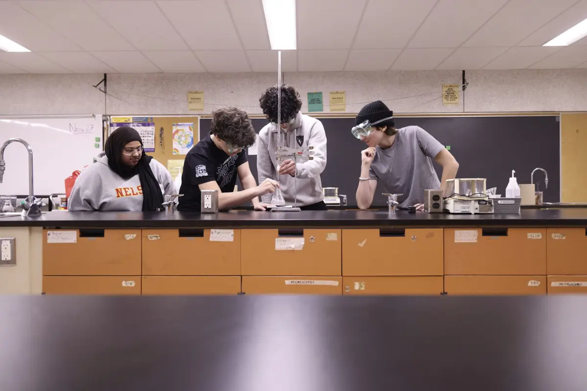 Advanced Placement students at Nelson High School