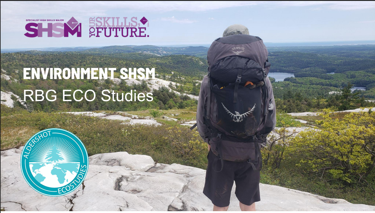 someone with their back to the camera wearing a large backpack looking out at nature while standing on elevated ground.