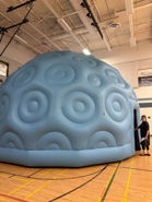 Stem Night Dome
