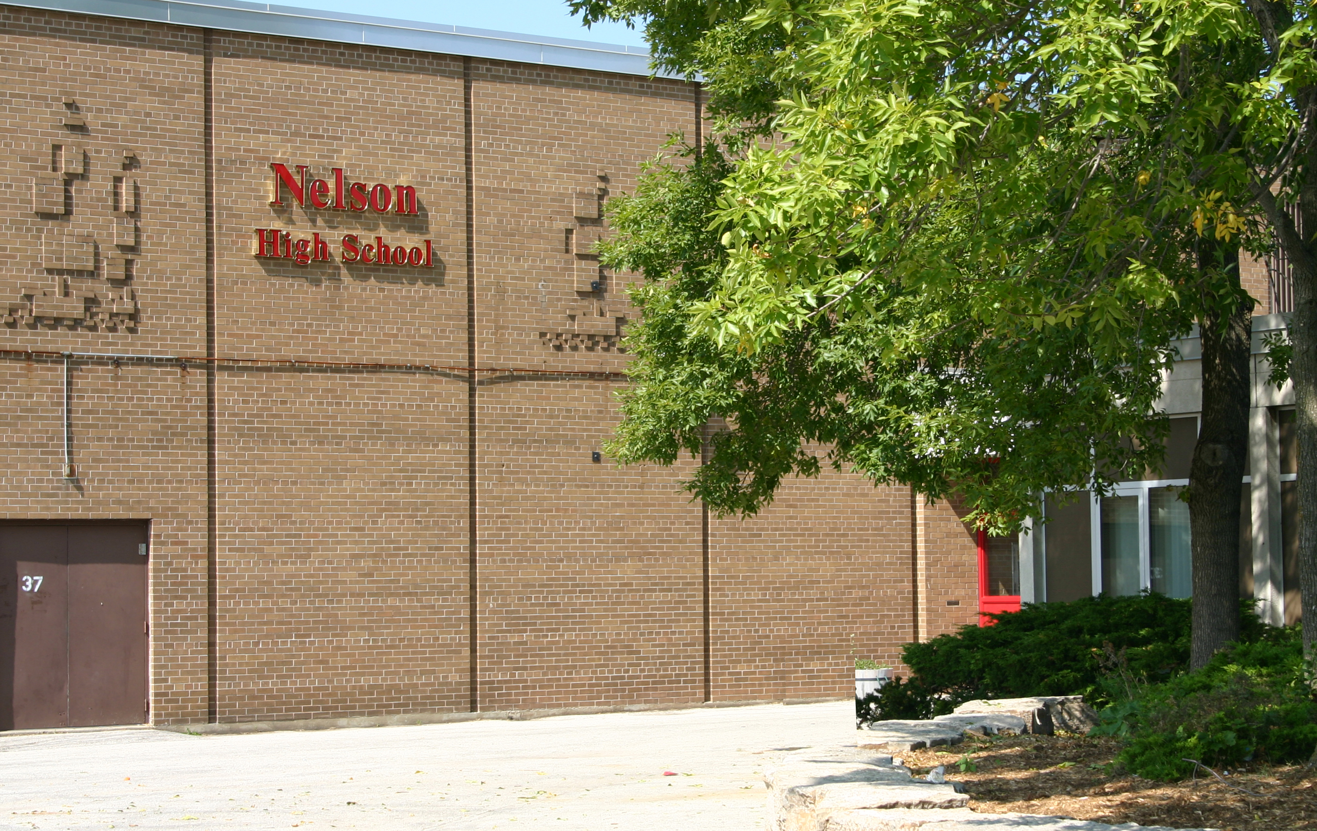 Image result for Nelson High School
